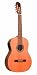 Giannini GWNC1/7-EL Sevilha Classical Guitar (Acoustic-Electric, Nylon, 7-String)