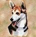 Welsh Corgi Woven Lap Square (Throw Blanket)