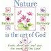 Nature-Art Of God Adult Long Sleeve T-Shirt