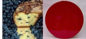 New England Blueberry 10 Coffee Cake (Red Gift Tin) by Coffee Cake