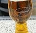 Dogfish Head Rare IPA Glass