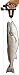 NorCross Marine Sonic Laser Scale SP