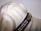  : Arizon Vinyl Dog Collar 10in Black 47P
