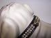 Kitchen & Housewares : Arizon Vinyl Dog Collar 10in Black 47P
