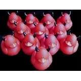 12 Mini Red Devil Rubber Duckie Ducky Duck Party... by