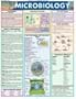 Microbiology (Quickstudy: Academic)