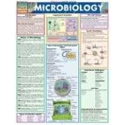 Click here to buy Microbiology (Quickstudy Reference Guides - Academic) by Mike Roner and Randy Brooks.