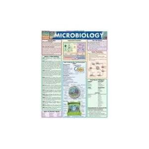 Click here to buy Microbiology (Quickstudy Reference Guides - Academic) by Mike Roner and Randy Brooks.