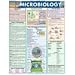 Microbiology (Quickstudy: Academic)