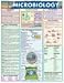Book Microbiology (Quickstudy Reference Guides - Academic)