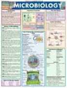 Textbook - Microbiology (Quickstudy: Academic)