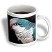 Birds - Blue Quaker - Mugs