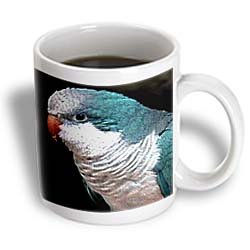 Blue Quaker - 11oz Mug