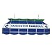 NHL Vancouver Canucks Stained Glass 40 inch Lighting Fixture