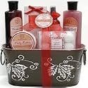 Aquaterra - Sugared Cranberry Bath and Body Spa Gift Set