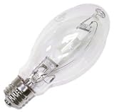 Litetronics 33840 - L-855 Light Bulb