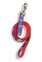 Chicago Cubs Baseball Dog Leash - Large