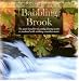 Moods of Nature: Babbling Brook (Music)