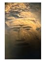 Carved Stone Face Underwater, a Replica of an Incan Ruin, Costa Rica Photographic Poster Print by Mark Newman, 18x24