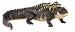 Safari LTD Incredible Creatures Alligator with Babies