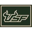 South Florida Bulls 3' 10" x 5' 4" Team Spirit Area Rug