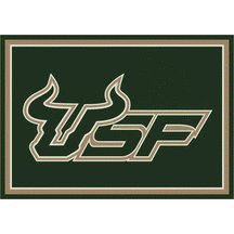 South Florida Bulls 3' 10" x 5' 4" Team Spirit Area Rug