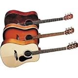Alvarez RD8 Regent Series Dreadnought Acoustic Guitar, Sunburst