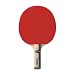 TSP15334901GIANT SOFT 12 S 2330015334901 153349012330015334901 15334901