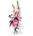 Bear Hug Flower Gift, Premium