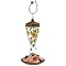 Feed Hummingbirds