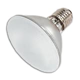 Halogen PAR Flood Light, 75 Watt PAR 30, Short, Soft Ray, 120 Volt, 38° Flood