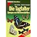 Schmetterlinge - Tagfalter