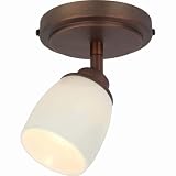 Review Globe Electric 57476 / Globe Sura One-Light Flush Mount Ceiling Fixture, Antique Bronze with Porcelain Globe #57476