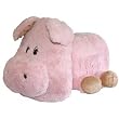 Treasure Chest Pet Accessory Chest Pig