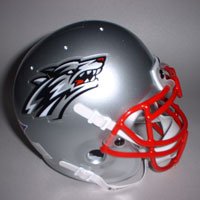 <b>New Mexico Lobos Mini Helmet</b>