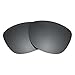 Revant Polarized Replacement Lenses for Native Bomber Black Chrome MirrorShield