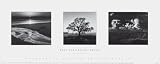 Trilogy III by Ansel Adams,20 in. x 8 in.