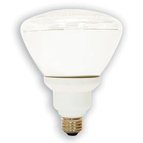 GE 47483 26-Watt (90-Watt equivalent) Energy Smart Outdoor Floodlight 6 Year Life PAR38 Light Bulb