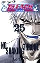 BLEACH―ブリーチ― 25 (ジャンプ・コミックス)