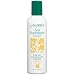 Aubrey Organics Sea Buckthorn & Cucumber with Ester-C Facial Cleansing Cream, 8-Ounce Bottles (Pack of 2)