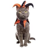 PETCO Jester Hat & Collar Cat Halloween Costume