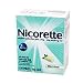 Health & Personal Care : Nicorette 2mg Mint Gum 170 Pieces 2mg Each Nicotine Polacrilex Gum