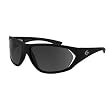 Gargoyles Camber Sunglasses - Polarized