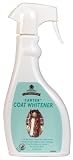 Stainmaster 500 ml Spray