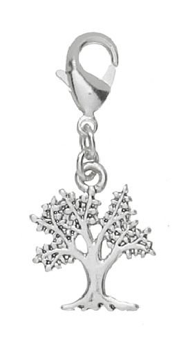 Silber Charm