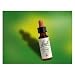Bach Essence Star of Bethlehem 20 Milliliters