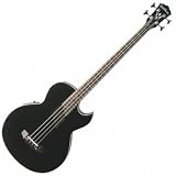 Washburn Acoustic Basses