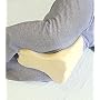 Contour Memory Foam Leg Pillow (Ecru) (10"H x 8"W x 6"D)