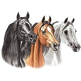 3 Horses Youth Sweatshirt