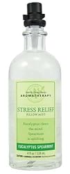 Bath & Body Works Aromatherapy Eucalyptus Spearmint Stress Relief Pillow Mist 4 fl oz
